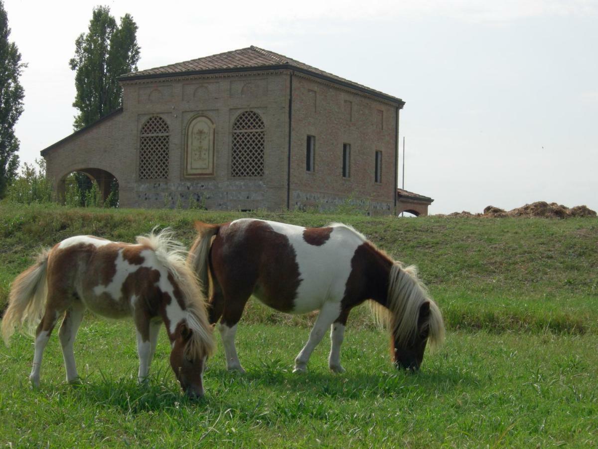 Agriturismo Corte Ghiara Hotel Fontanellato Kültér fotó